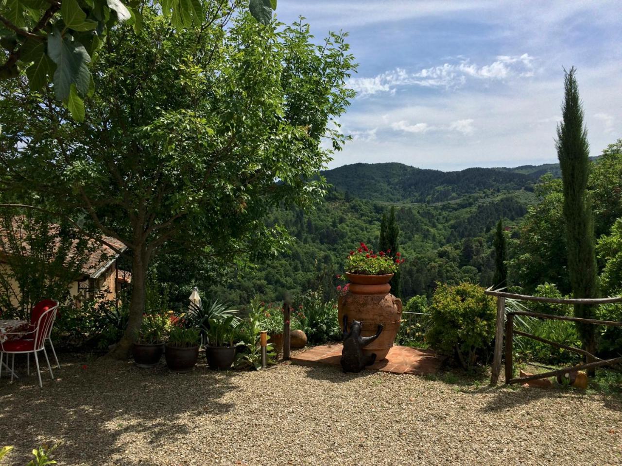 Ventena Vecchia Antico Frantoio 몬테바르치 외부 사진